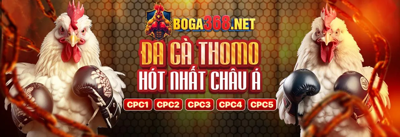 Đội ngũ chuyên gia của Zonclub Win